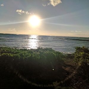 Meet your Posher, Sydney